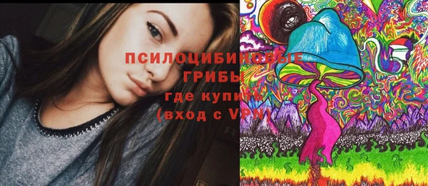 трава Карпинск