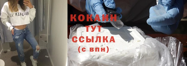 трава Карпинск