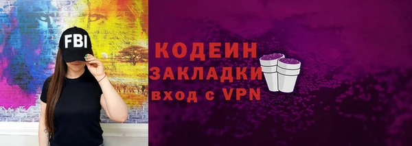 хмурый Касимов