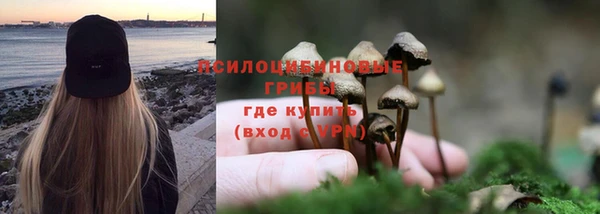 трава Карпинск