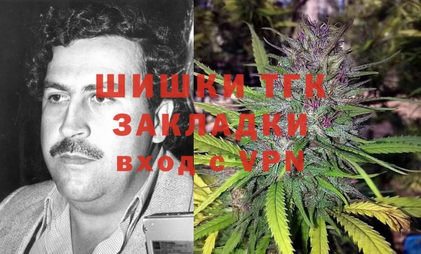 трава Карпинск