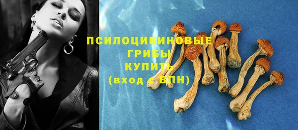 трава Карпинск