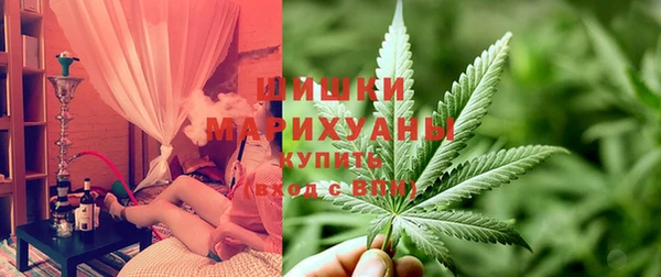 трава Карпинск