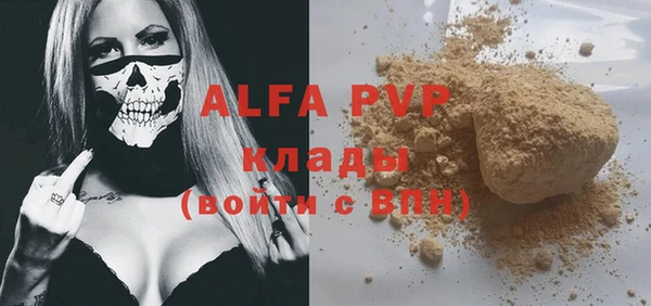 хмурый Касимов
