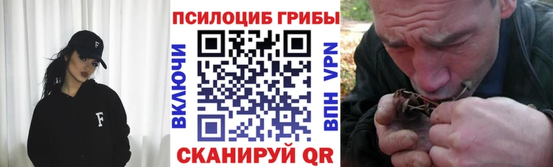 продажа наркотиков  Яровое  Псилоцибиновые грибы ЛСД 